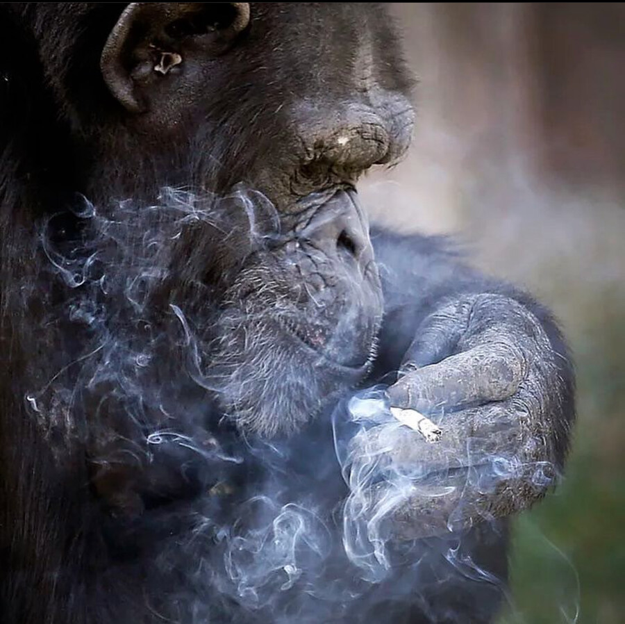 모바일 mmorpg 장르 그래픽 구경해봄_24.jpg