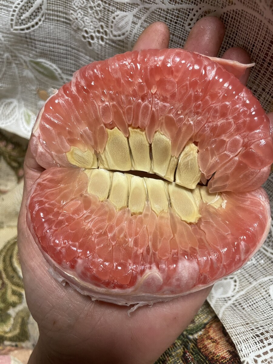 간식 먹으려다 개 놀란사람_1.jpg