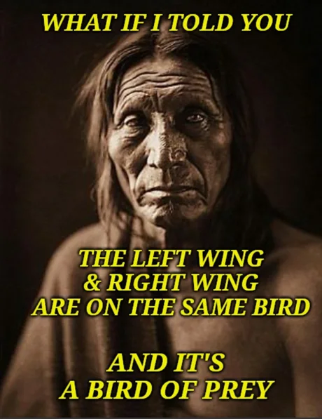 좌익이든 우익이든 중요하지 않다_1.webp