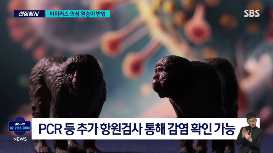 '치사율 70%' 바이러스 의심 원숭이 대거 반입_4.jpg