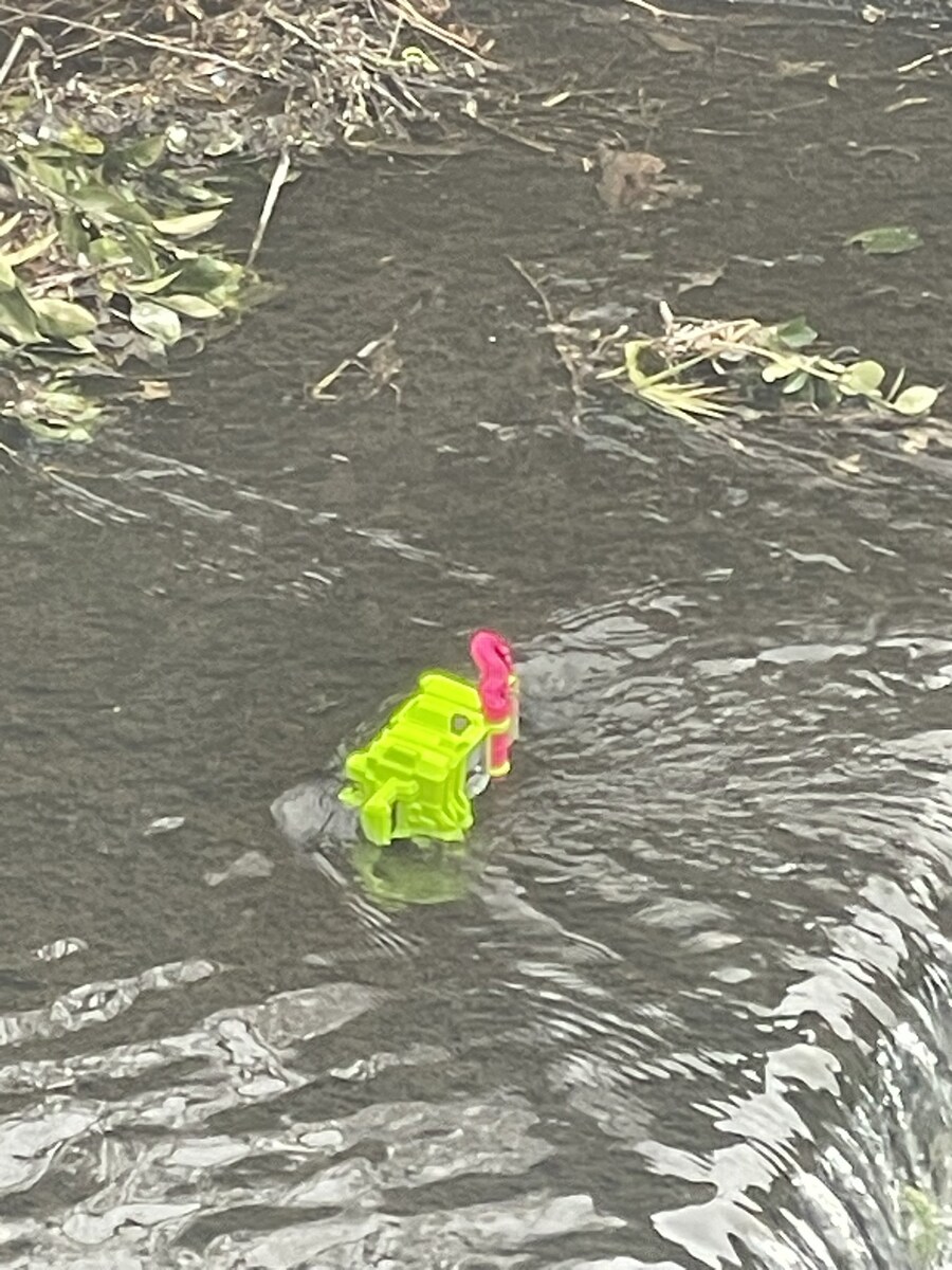 일본의 개천에 떠다니는것_2.jpg