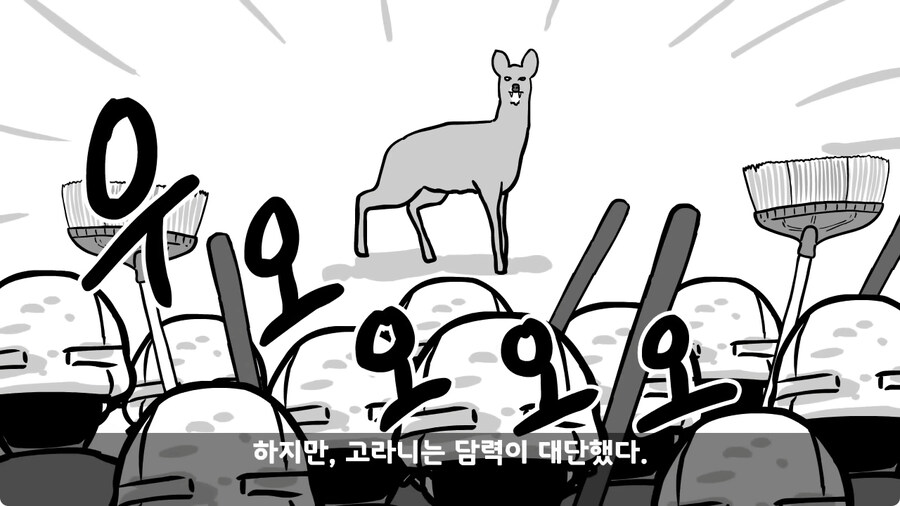 고라니 한 마리에게 해병대 1개 중대 전멸당한 썰.jpg_59.jpg