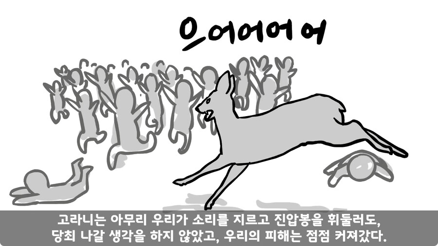 고라니 한 마리에게 해병대 1개 중대 전멸당한 썰.jpg_73.jpg
