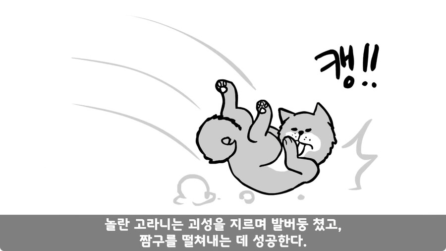 고라니 한 마리에게 해병대 1개 중대 전멸당한 썰.jpg_88.jpg