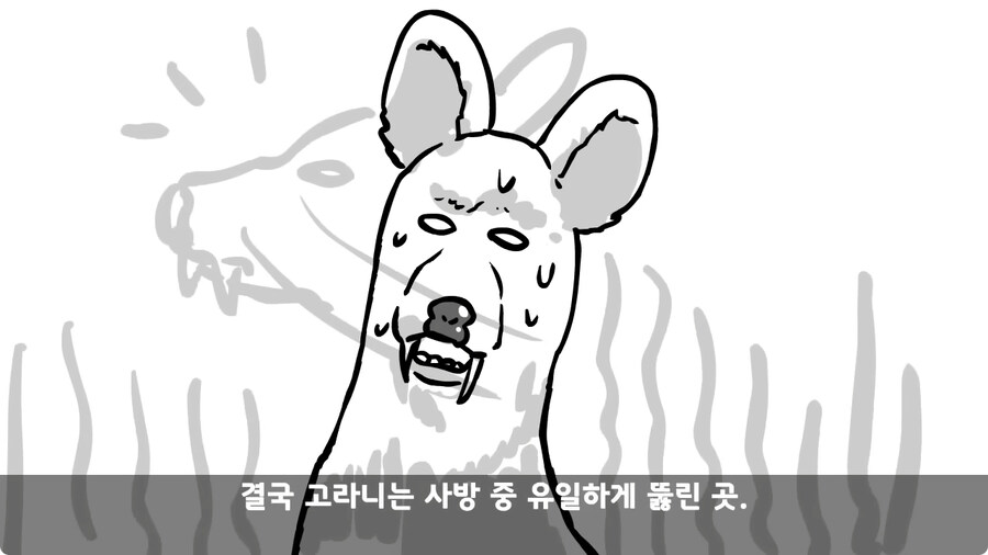 고라니 한 마리에게 해병대 1개 중대 전멸당한 썰.jpg_91.jpg