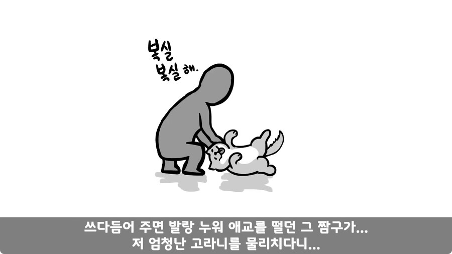고라니 한 마리에게 해병대 1개 중대 전멸당한 썰.jpg_96.jpg