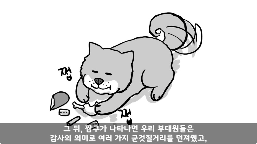 고라니 한 마리에게 해병대 1개 중대 전멸당한 썰.jpg_104.jpg