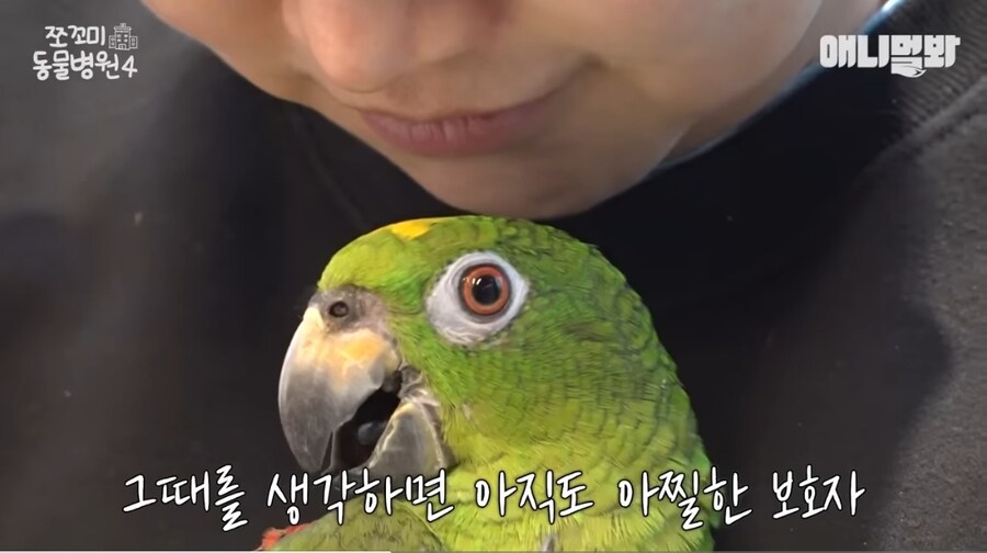 앵무새 다리 두동강 내버린 7살 아이들;;;_8.jpg