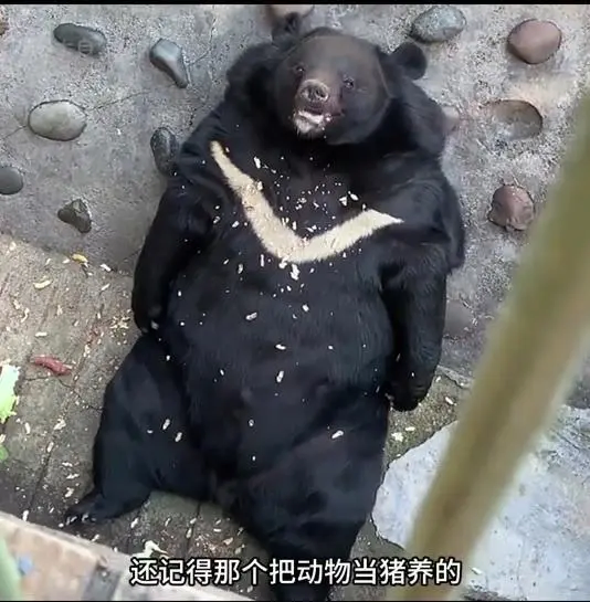 사료 민영화 동물원 대참사_5.webp