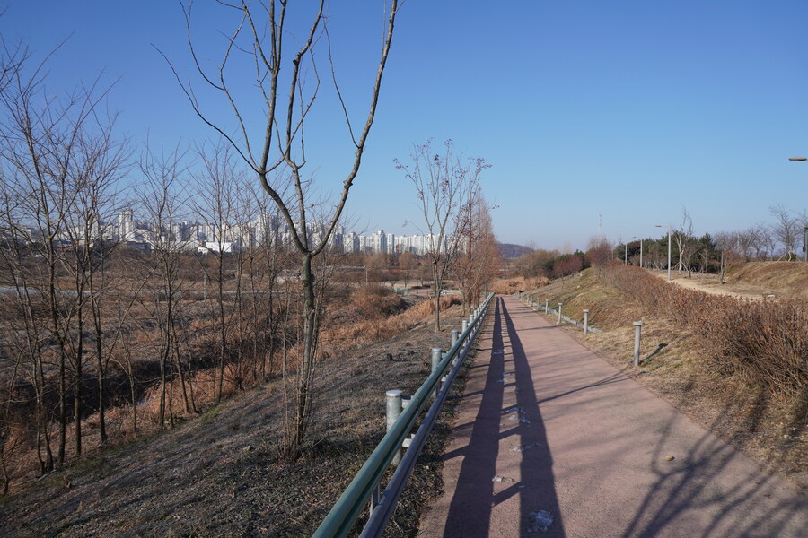 25년 첫 탐조_12.jpg