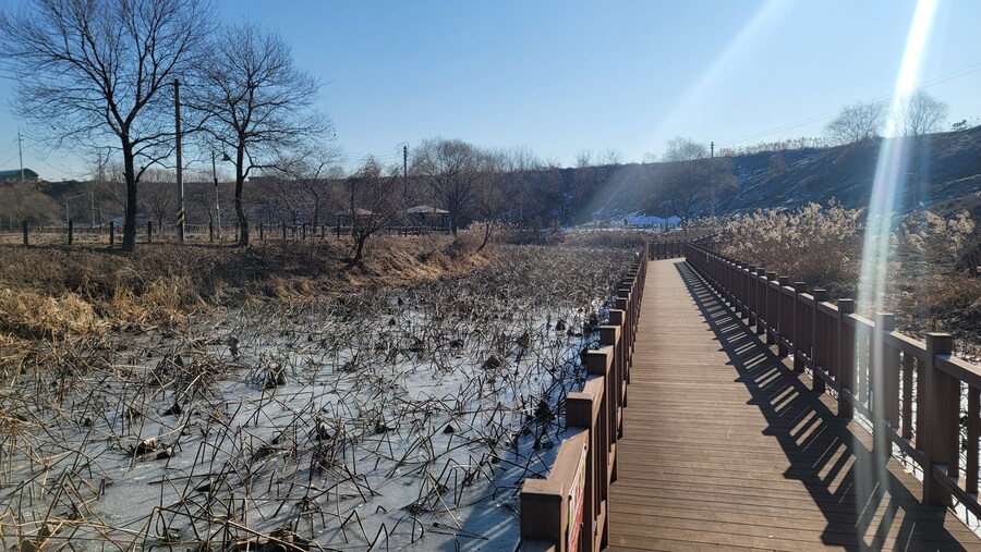 25년 첫 탐조_43.jpg