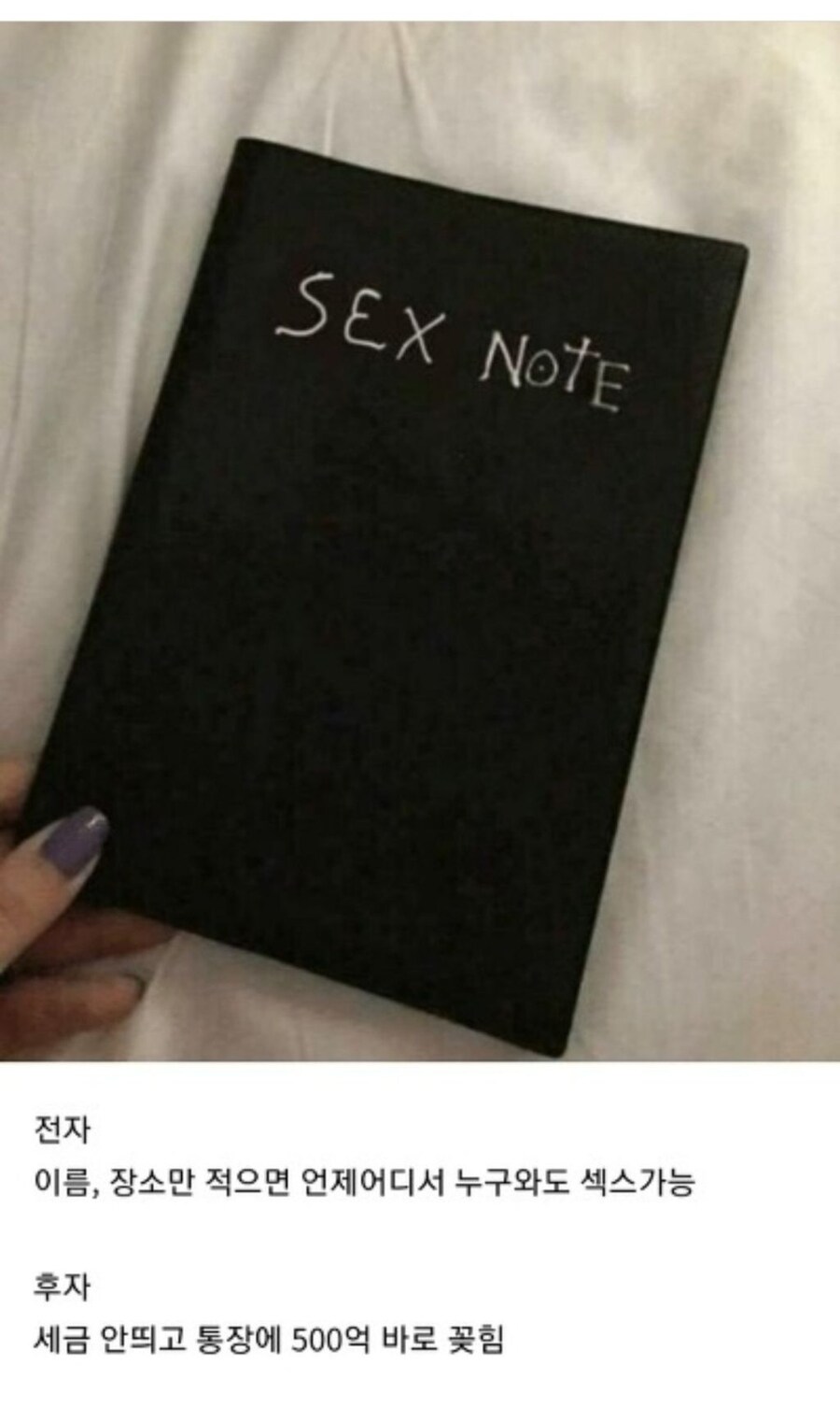 섹.스노트 vs 현금 500억_1.jpg