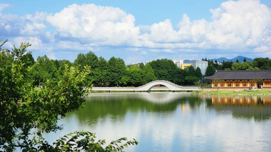 싱글벙글한 전주시에서 벌어지고 있는 사건_4.png