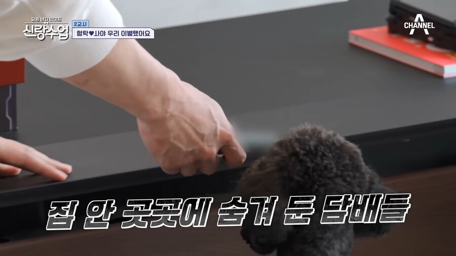 유튜브) 아무리 심형탁형님이라도 이건 너무한게 맞음 ㅋㅋㅋㅋ_67.png