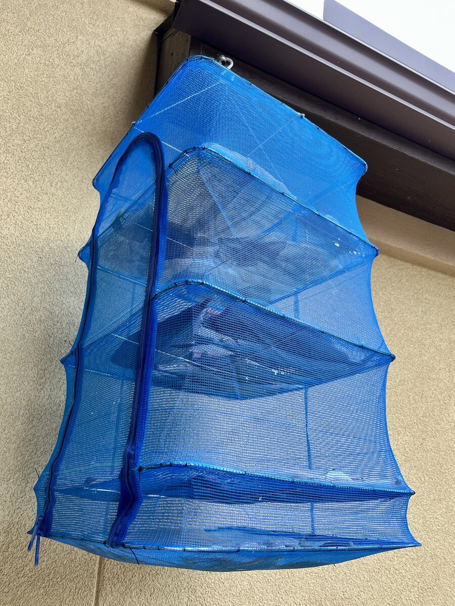 한파가 온 텍사스 사는 한국인이 만든것.x_4.jpg