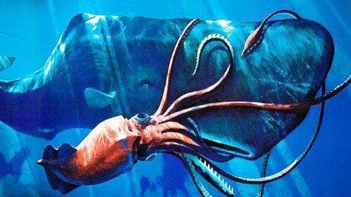 지구에서 가장 큰 눈을 가진 동물_4.jpg