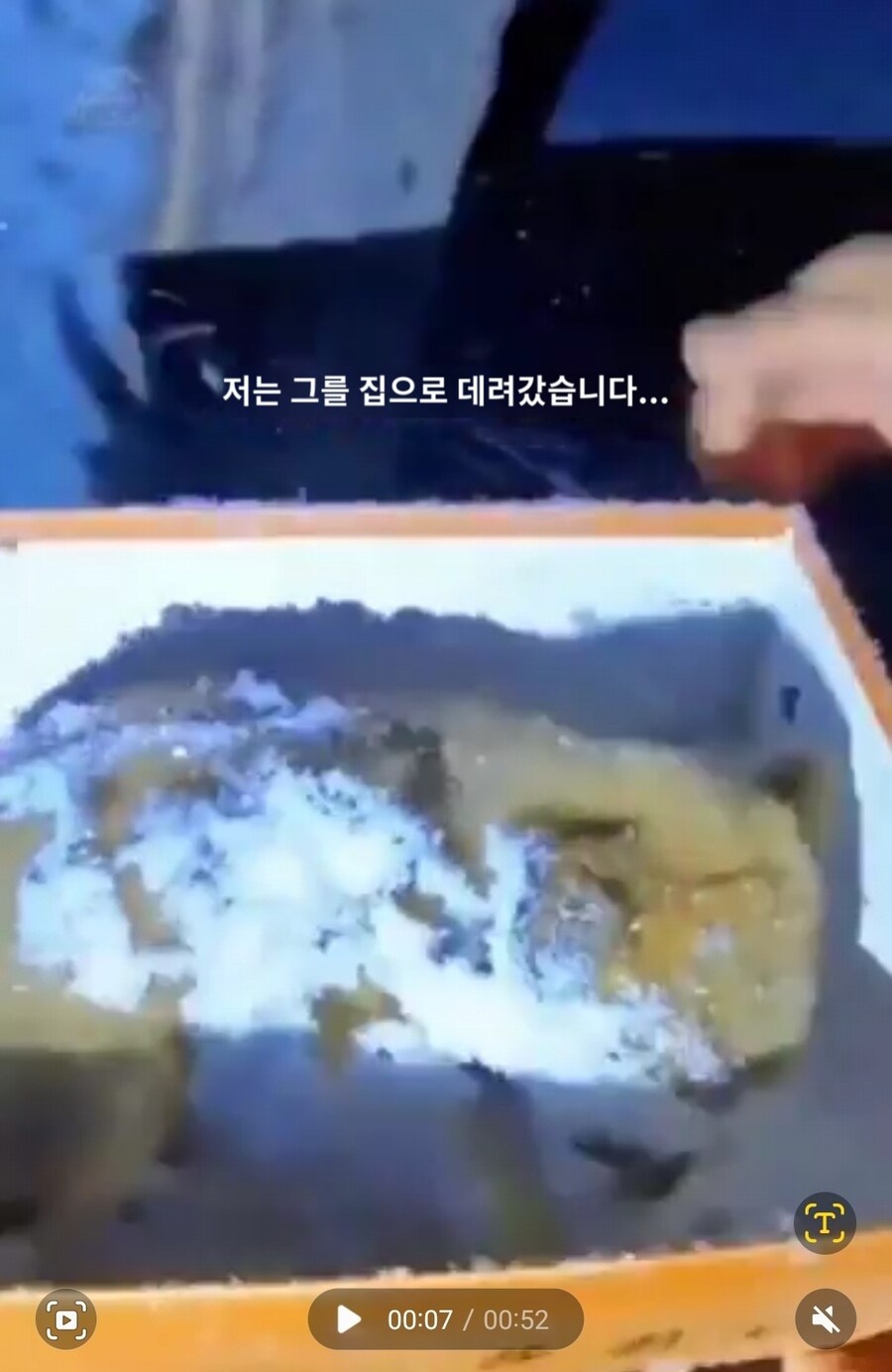 실수로 늑대를 키웠다는 외국인썰_3.jpg