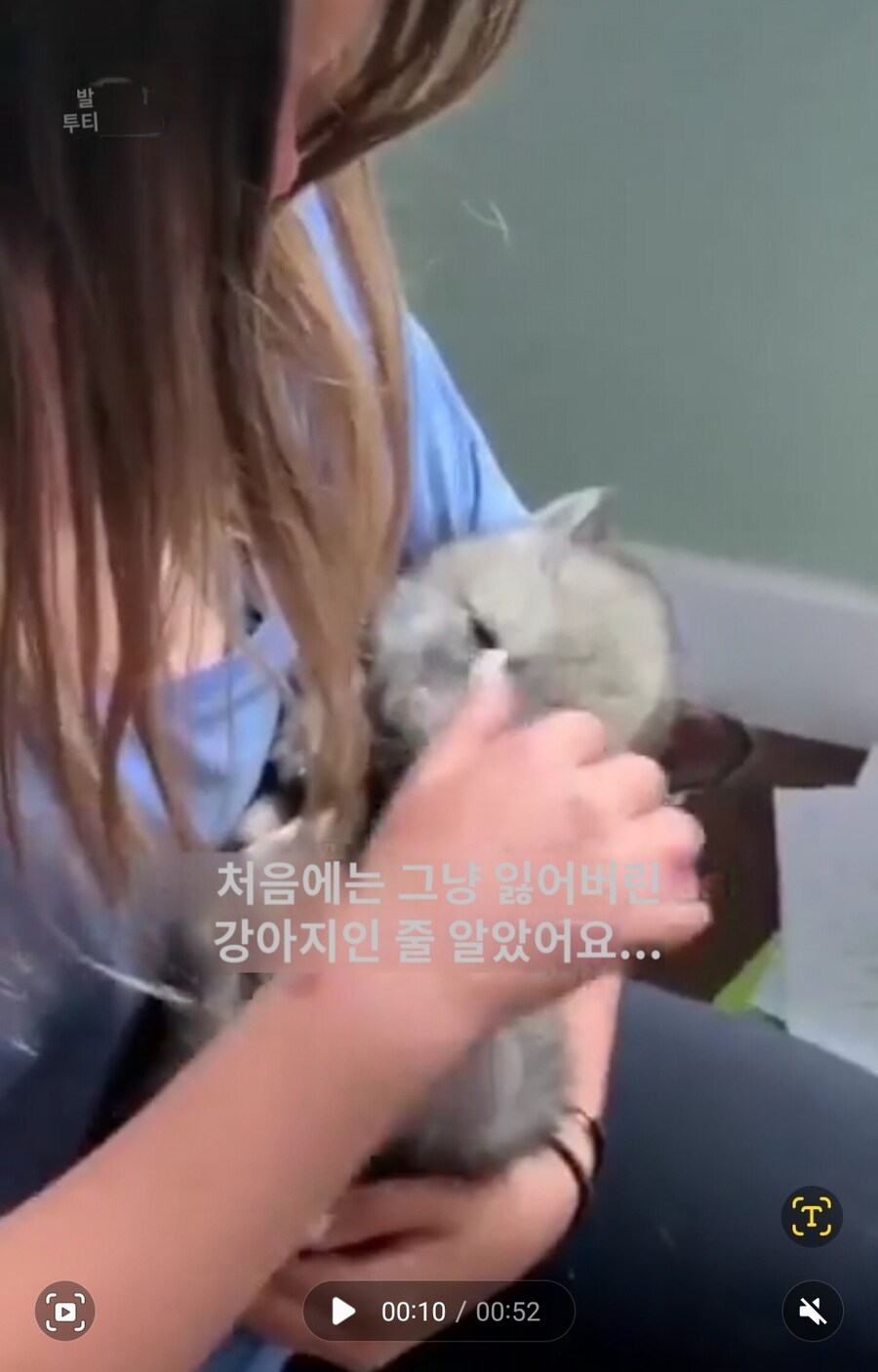 실수로 늑대를 키웠다는 외국인썰_4.jpg