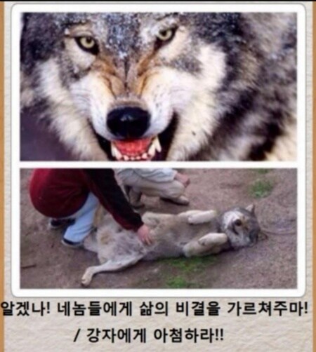 따지고 보면 종족 단위의 쩌는 역배_1.jpg