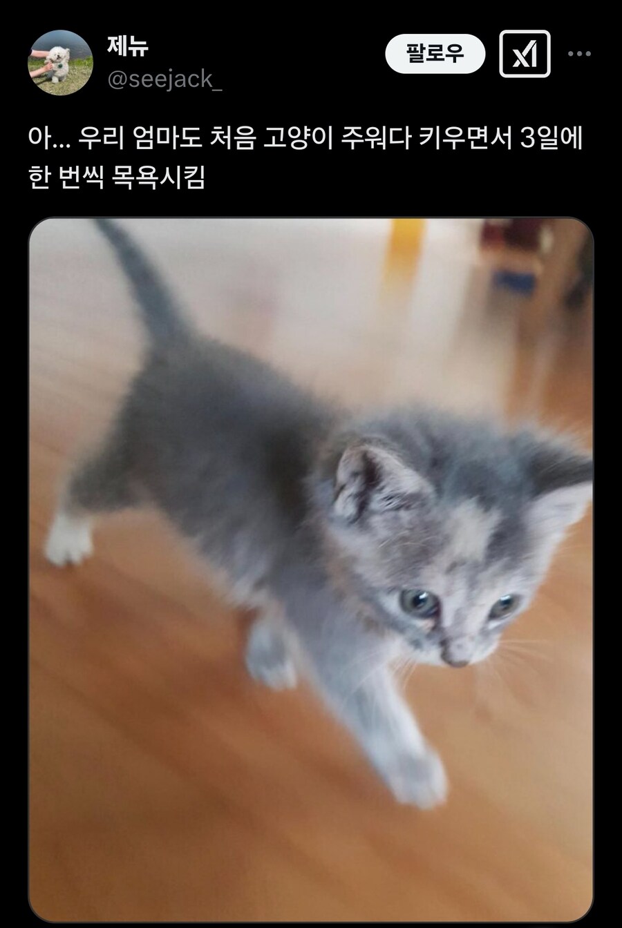 강아지 처음 키워본 엄마가 매일 목욕시킴.x_6.jpg