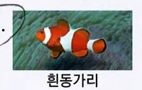 용과같이8 외전 오우나바라 정답_2.png