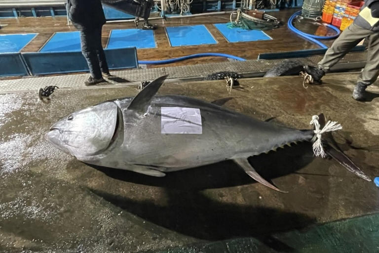 동해안 근황.jpg_1.jpg