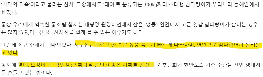 동해안 근황.jpg_2.png