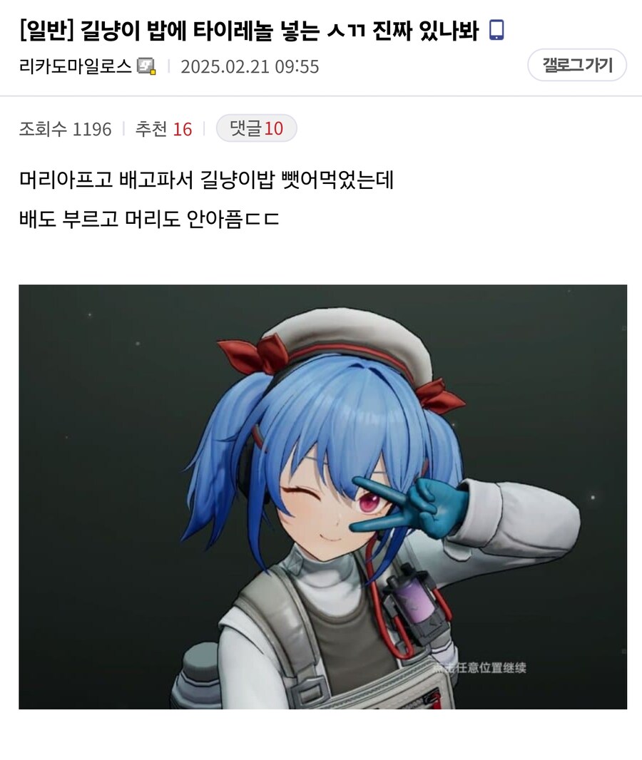 길냥이 밥에 타이레놀 넣는 ㅅㄲ 진짜 있나봐&nbsp;_1.jpg