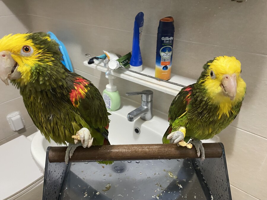 샤워 후 먹는 호두가 제맛이지~_4.jpg