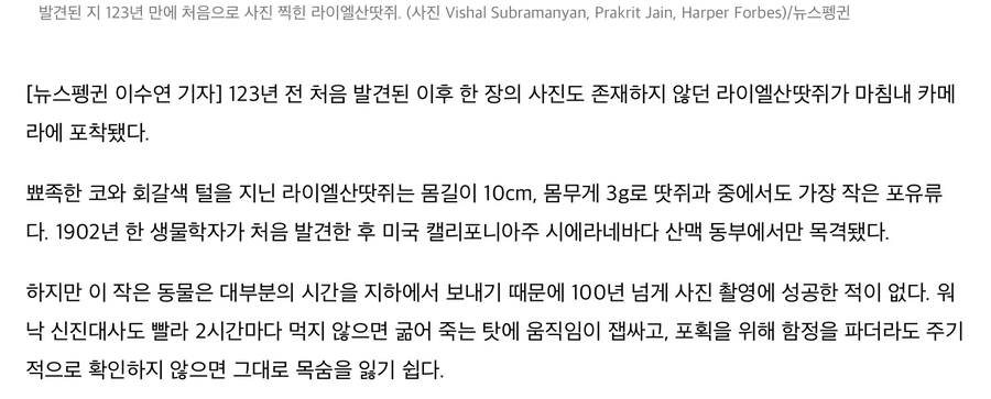 120년만에 사진 찍힌 동물.jpg_3.webp