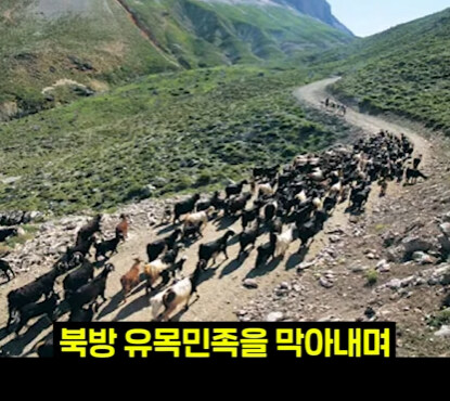 속담에 나오는 강남의 진실.jpg_17.jpg