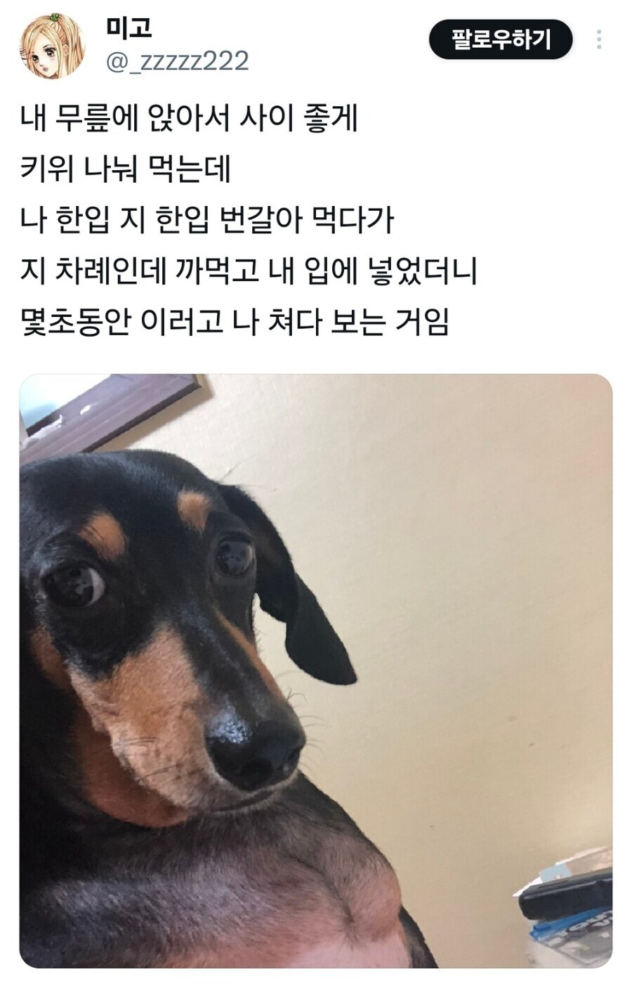 댕댕이와의 신뢰를 깬 주인.jpg_1.jpg