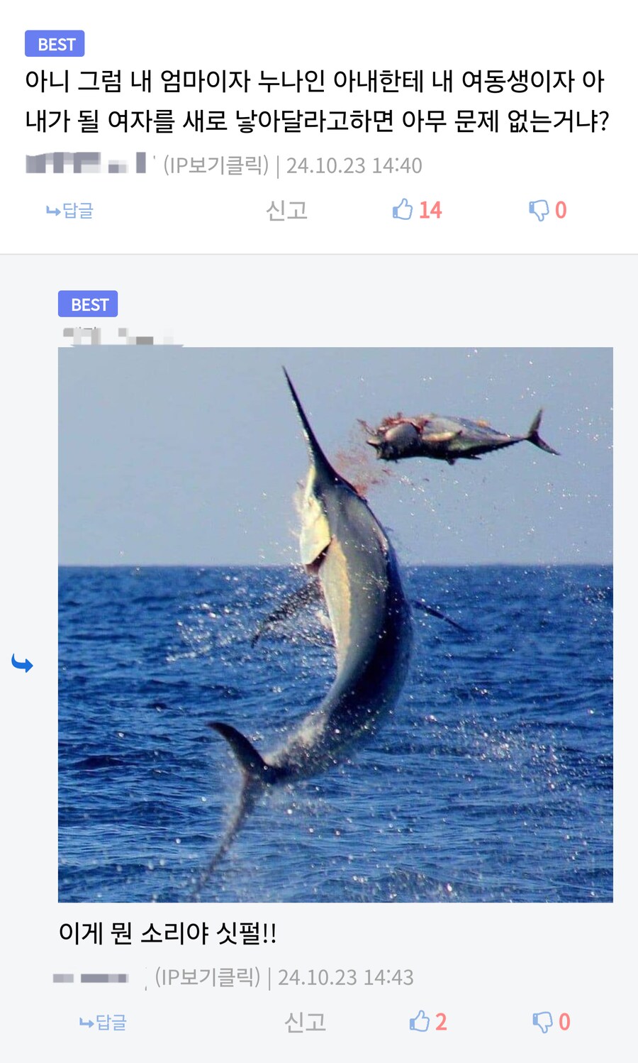 한국말인데 이해가안된다.jpg_1.png