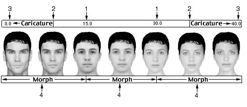 남성과 여성의 얼굴 차이_1.jpg