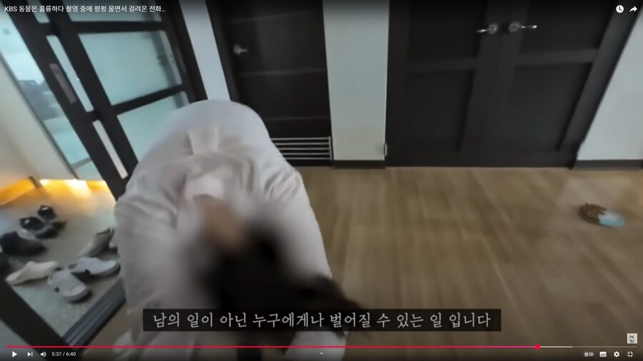 베스트의 고양이 유투버가 진짜 의심스러운 이유_3.png