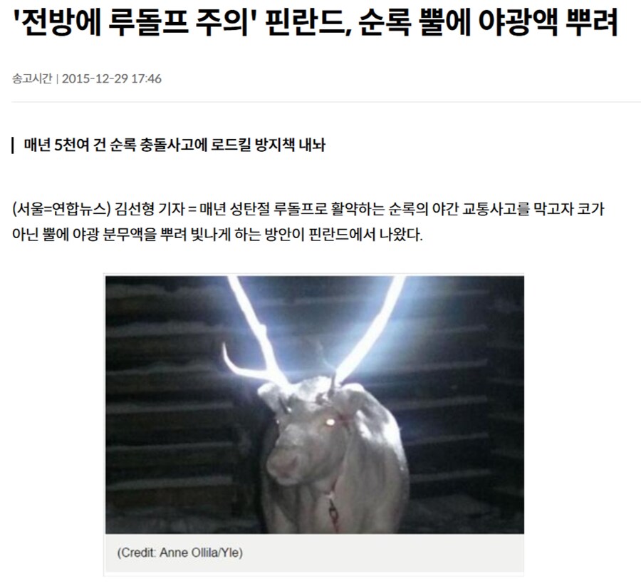 핀란드의 로드킬 방지책_1.png