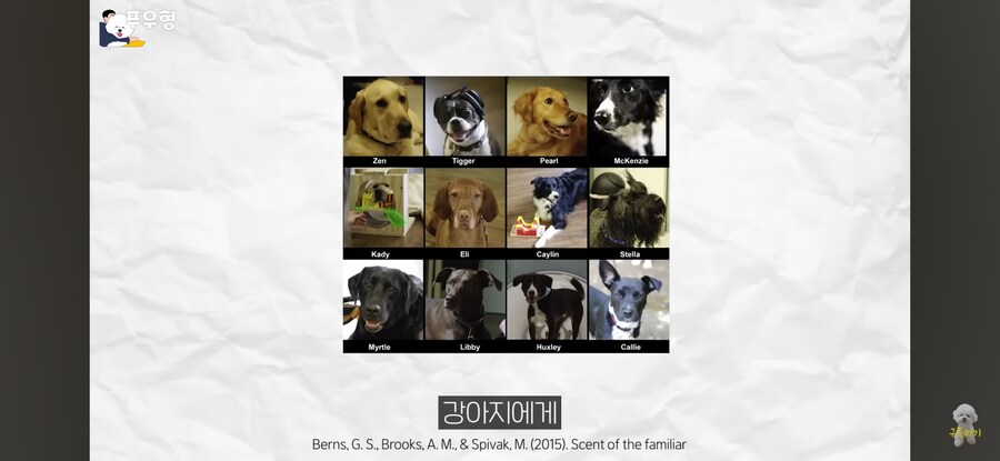 의외로 강아지에게 도파민 펌핑이 되는 행동_1.png