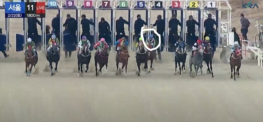 K-경마, 말딸 혈통) 위너영 (BMS: 네오 유니버스) 늦출발에 추입으로 우승._1.png
