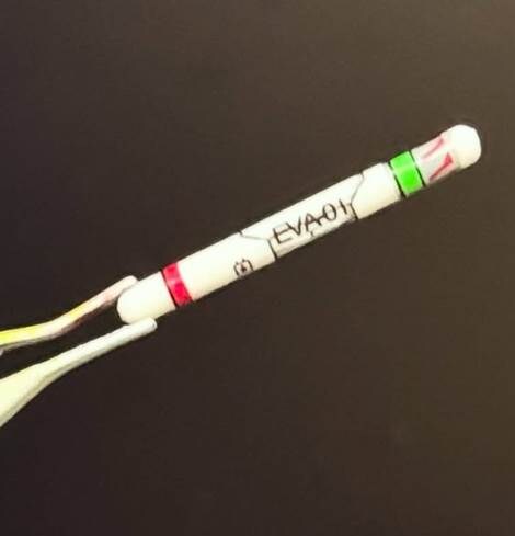 RG 에반게리온 초호기 DX세트_6.jpg