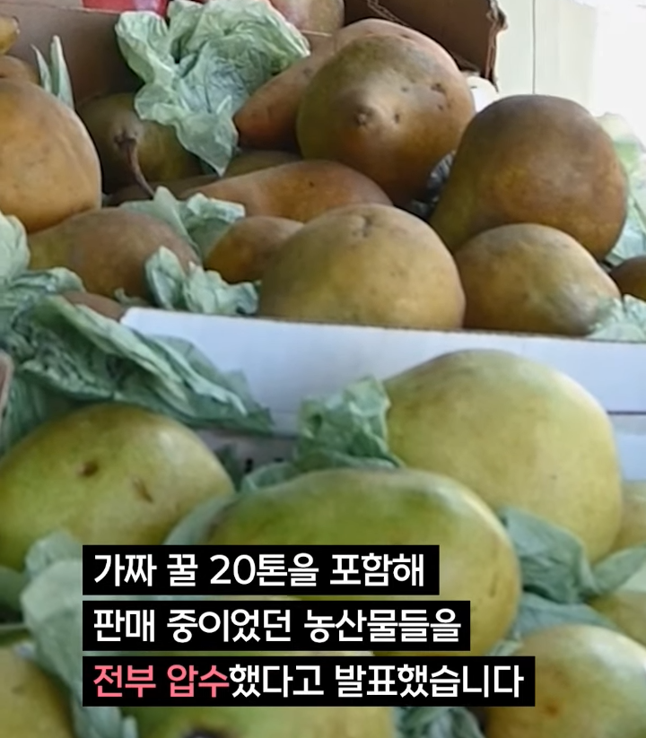 중국의 인플루언서 산골처녀가 체포된 이유....jpg_15.png