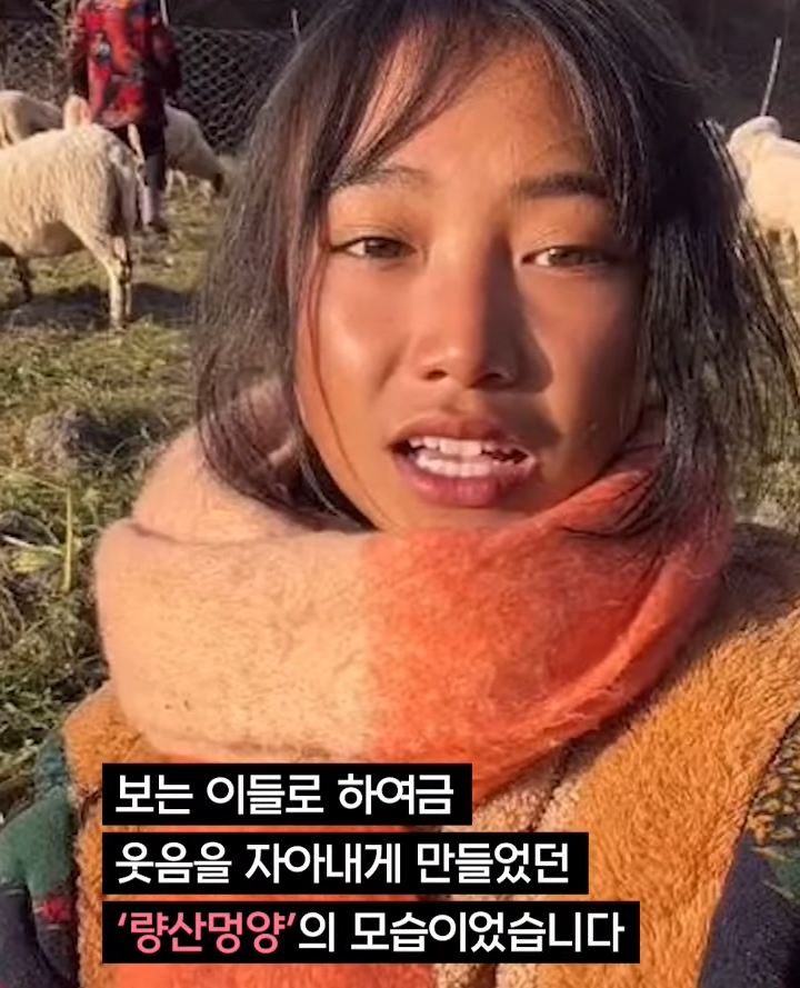 중국의 인플루언서 산골처녀가 체포된 이유....jpg_4.png