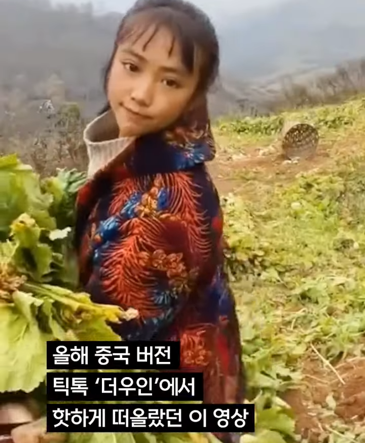 중국의 인플루언서 산골처녀가 체포된 이유....jpg_2.png