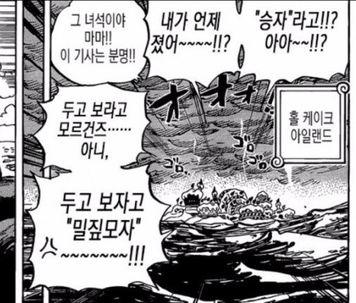 원피스 세계정부도 쉽게 못건드는 인물_16.jpg