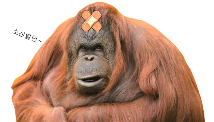 타커뮤 떡밥 돈 김에 가끔 궁금한게_1.png