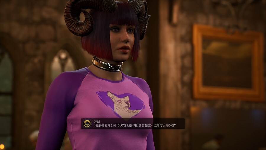 의외로 사람들이 잘 모르는 DLC의 뜻_2.jpg