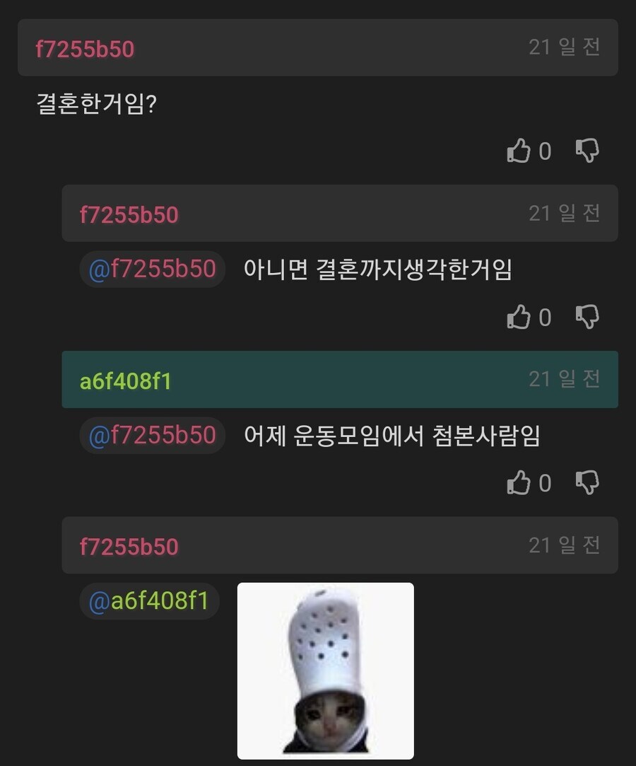 계란 못깐다고 구받받아서 이혼 생각중이다_2.jpg