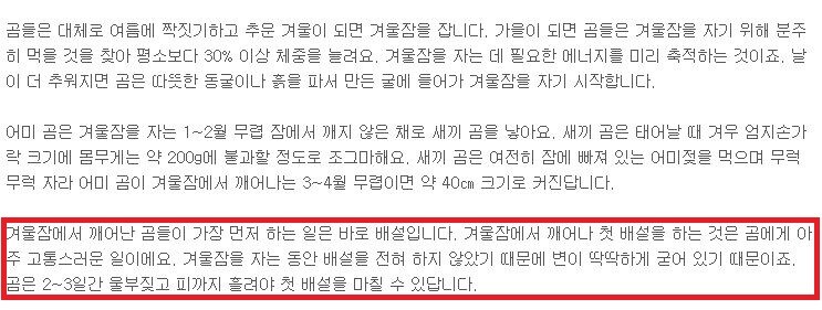 겨울잠에서 깬 곰이 가장 먼저 하는 일.jpg_1.jpg