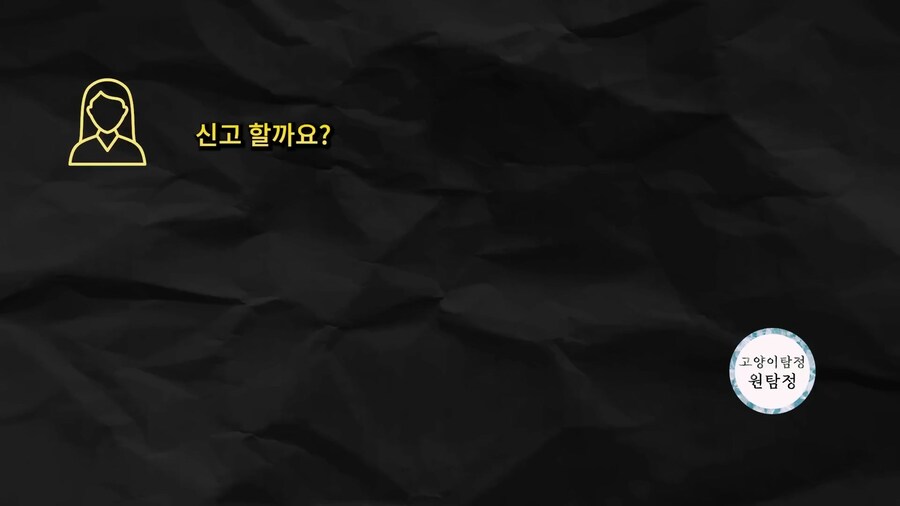 먹튀 고양이 유튜버 근황._8.jpg