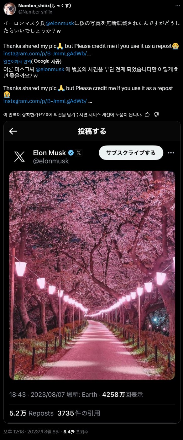 사진 무단 도용당한 X 유저_1.png