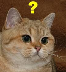 MCU)스포) 캡아4 보고 썬더볼츠 예고편 보면 잘 이해안가는 부분_4.jpg